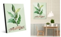 Creative Gallery Watercolor Bay Leaves on Green Acrylic Wall Art Print Collection